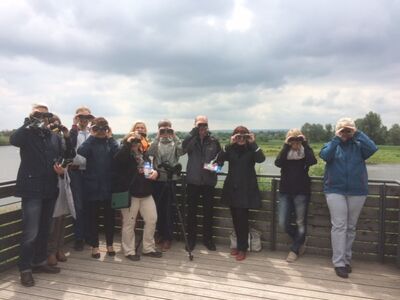 Na, was suchen sie denn?